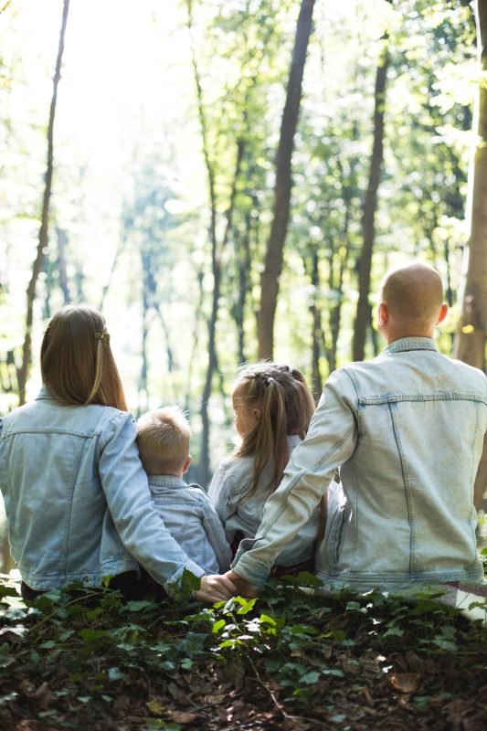 choisir entre sci et sarl de famille critères à considérer